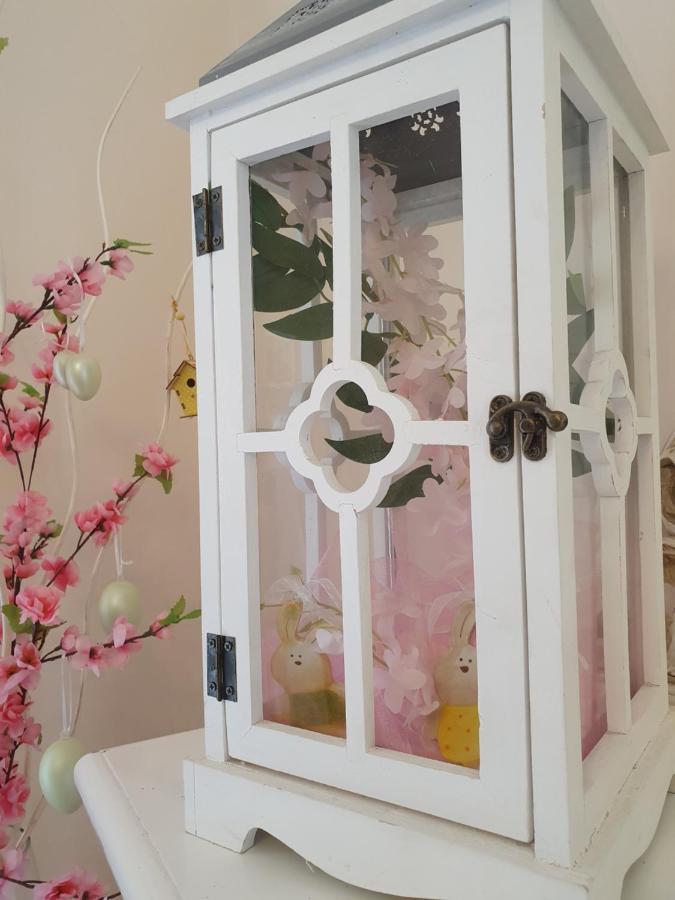 B&B Villa Maria Terni Kültér fotó