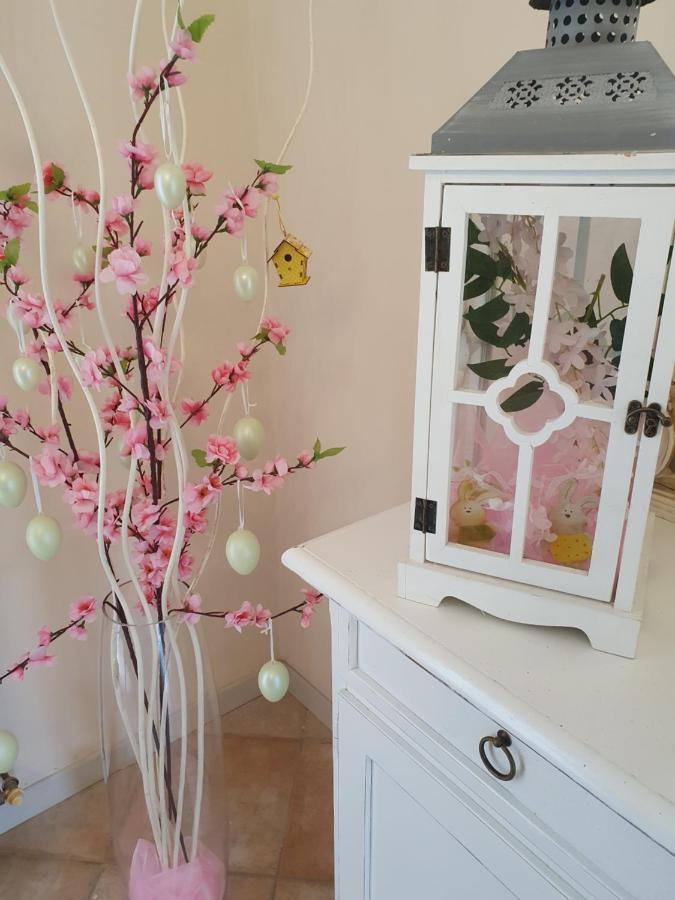 B&B Villa Maria Terni Kültér fotó