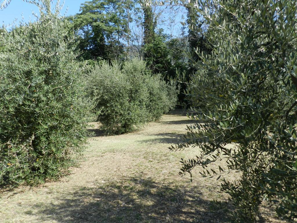 B&B Villa Maria Terni Szoba fotó